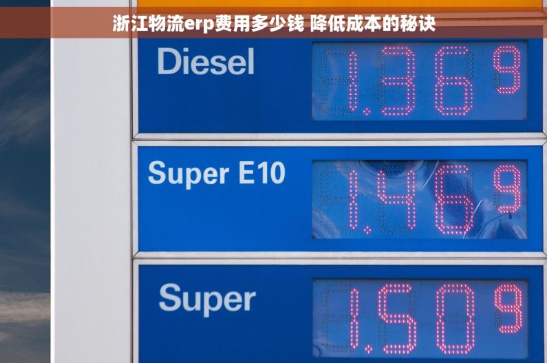 浙江物流erp费用多少钱 降低成本的秘诀 浙江物流erp费用多少钱 降低成本的秘诀