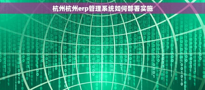 杭州杭州erp管理系统如何部署实施 杭州杭州erp管理系统如何部署实施
