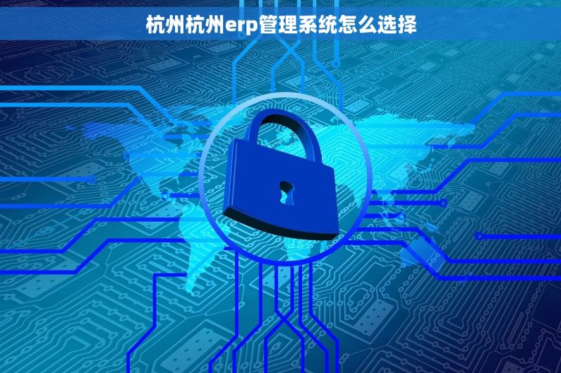 杭州杭州erp管理系统怎么选择 杭州杭州erp管理系统怎么选择