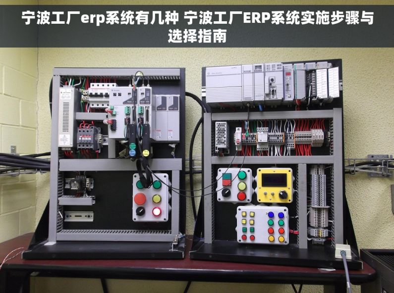 宁波工厂erp系统有几种 宁波工厂ERP系统实施步骤与选择指南