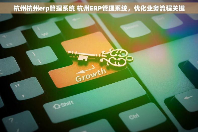 杭州杭州erp管理系统 杭州ERP管理系统,优化业务流程关键 杭州杭州erp管理系统 杭州ERP管理系统,优化业务流程关键