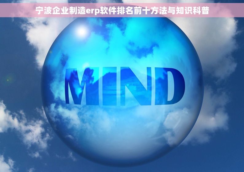 宁波企业制造erp软件排名前十方法与知识科普 宁波企业制造erp软件排名前十方法与知识科普