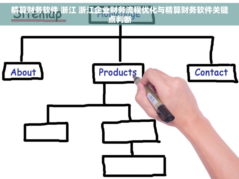 精算财务软件 浙江 浙江企业财务流程优化与精算财务软件关键点判断 精算财务软件 浙江 浙江企业财务流程优化与精算财务软件关键点判断