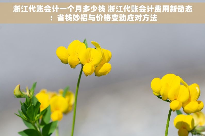 浙江代账会计一个月多少钱 浙江代账会计费用新动态：省钱妙招与价格变动应对方法