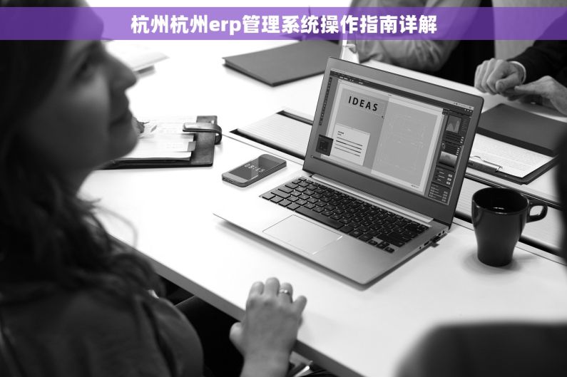 杭州杭州erp管理系统操作指南详解 杭州杭州erp管理系统操作指南详解