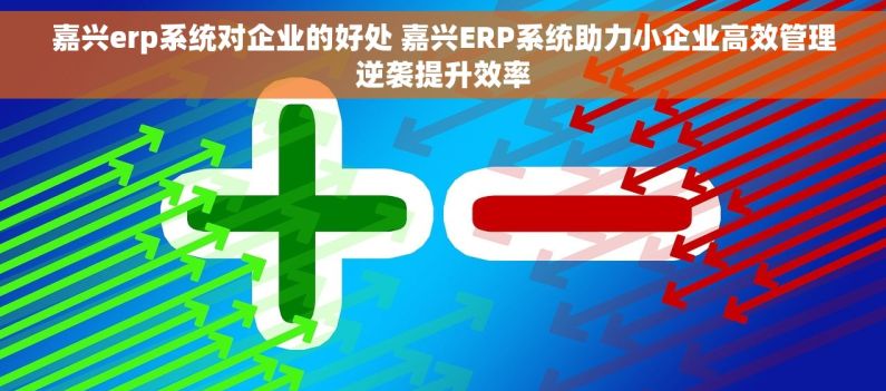 嘉兴erp系统对企业的好处 嘉兴ERP系统助力小企业高效管理逆袭提升效率 嘉兴erp系统对企业的好处 嘉兴ERP系统助力小企业高效管理逆袭提升效率