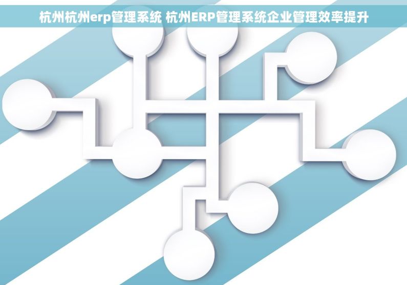杭州杭州erp管理系统 杭州ERP管理系统企业管理效率提升