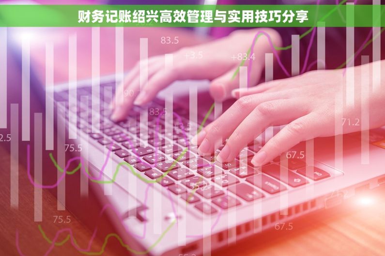 财务记账绍兴高效管理与实用技巧分享 财务记账绍兴高效管理与实用技巧分享