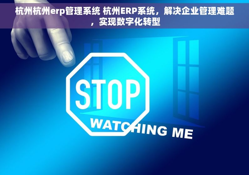 杭州杭州erp管理系统 杭州ERP系统,解决企业管理难题,实现数字化转型 杭州杭州erp管理系统 杭州ERP系统,解决企业管理难题,实现数字化转型