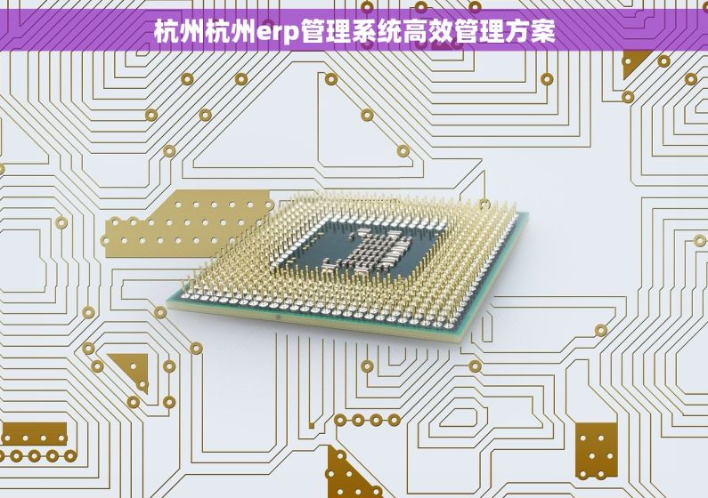 杭州杭州erp管理系统高效管理方案