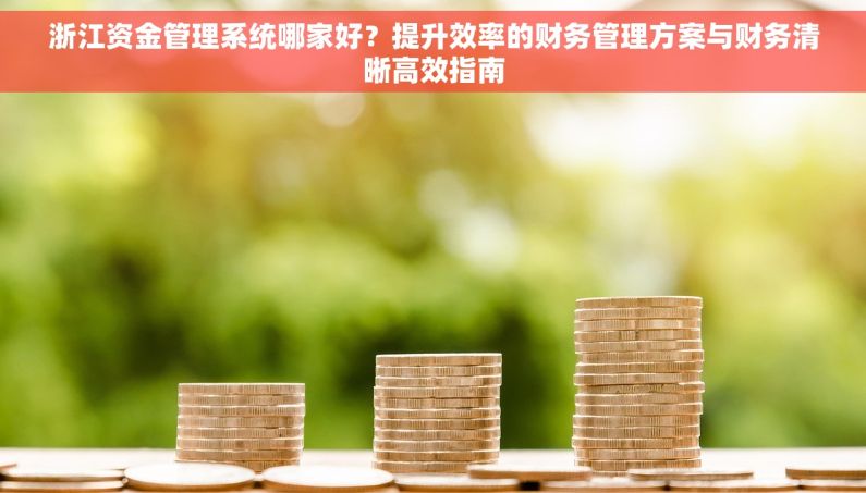 浙江资金管理系统哪家好?提升效率的财务管理方案与财务清晰高效指南 浙江资金管理系统哪家好?提升效率的财务管理方案与财务清晰高效指南