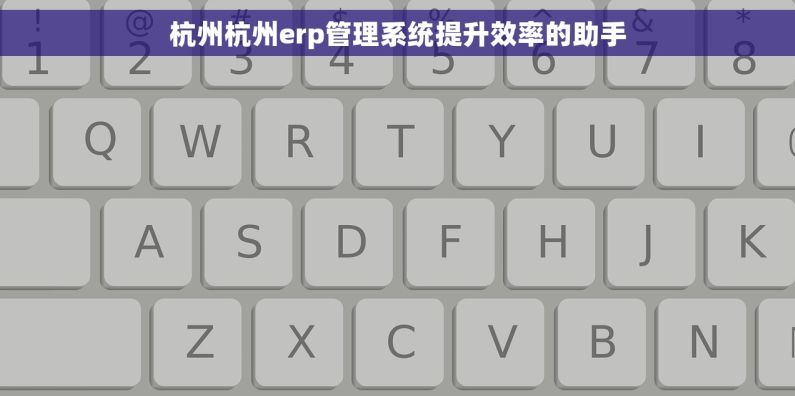 杭州杭州erp管理系统提升效率的助手 杭州杭州erp管理系统提升效率的助手
