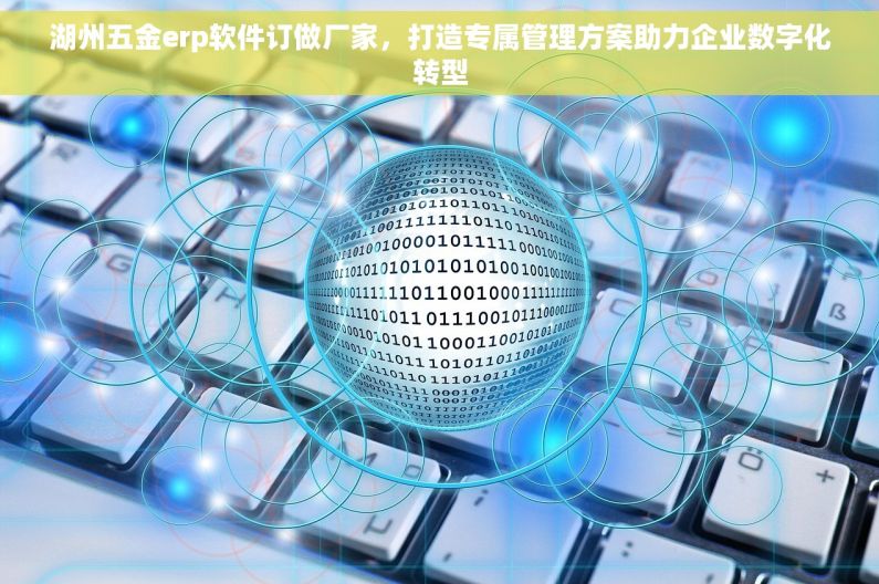 湖州五金erp软件订做厂家，打造专属管理方案助力企业数字化转型