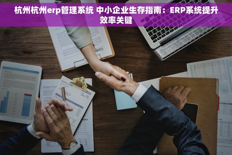杭州杭州erp管理系统 中小企业生存指南:ERP系统提升效率关键 杭州杭州erp管理系统 中小企业生存指南:ERP系统提升效率关键