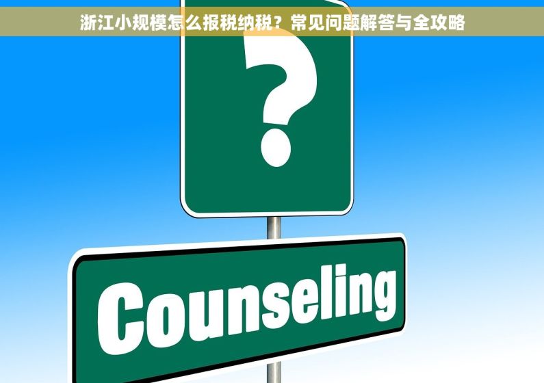 浙江小规模怎么报税纳税?常见问题解答与全攻略 浙江小规模怎么报税纳税?常见问题解答与全攻略
