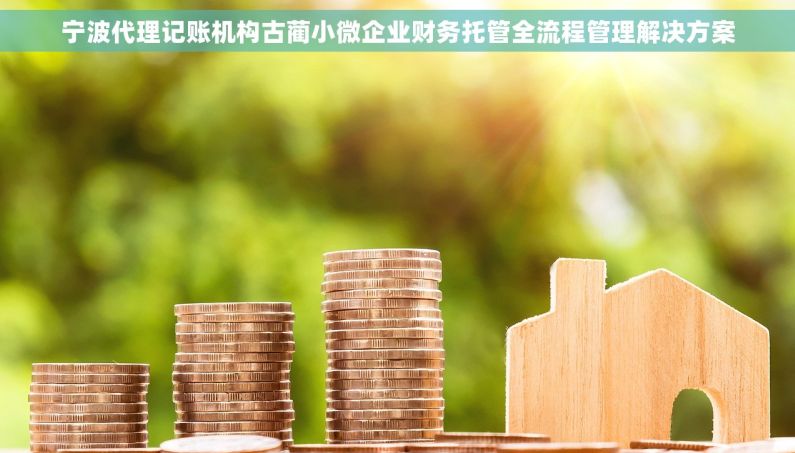 宁波代理记账机构古蔺小微企业财务托管全流程管理解决方案 宁波代理记账机构古蔺小微企业财务托管全流程管理解决方案
