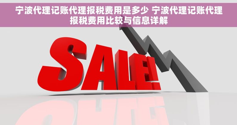 宁波代理记账代理报税费用是多少 宁波代理记账代理报税费用比较与信息详解 宁波代理记账代理报税费用是多少 宁波代理记账代理报税费用比较与信息详解