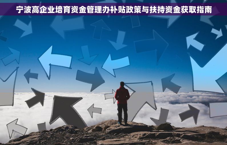 宁波高企业培育资金管理办补贴政策与扶持资金获取指南 宁波高企业培育资金管理办补贴政策与扶持资金获取指南