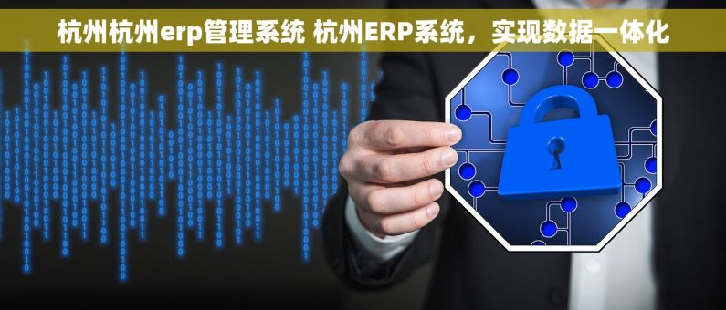杭州杭州erp管理系统 杭州ERP系统,实现数据一体化 杭州杭州erp管理系统 杭州ERP系统,实现数据一体化