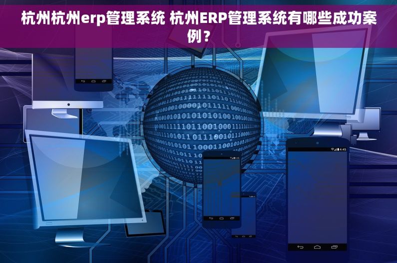 杭州杭州erp管理系统 杭州ERP管理系统有哪些成功案例？