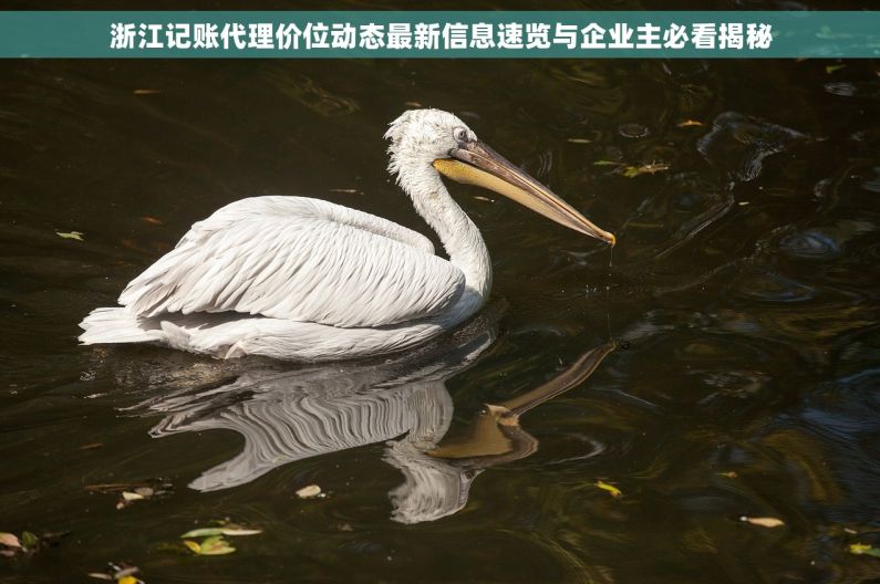 浙江记账代理价位动态最新信息速览与企业主必看揭秘 浙江记账代理价位动态最新信息速览与企业主必看揭秘