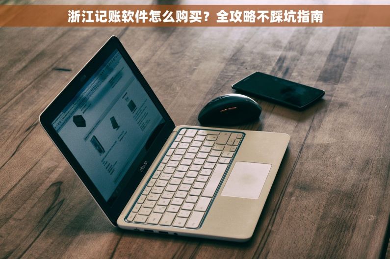 浙江记账软件怎么购买?全攻略不踩坑指南 浙江记账软件怎么购买?全攻略不踩坑指南