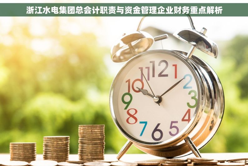 浙江水电集团总会计职责与资金管理企业财务重点解析 浙江水电集团总会计职责与资金管理企业财务重点解析