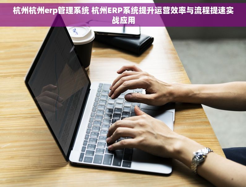 杭州杭州erp管理系统 杭州ERP系统提升运营效率与流程提速实战应用 杭州杭州erp管理系统 杭州ERP系统提升运营效率与流程提速实战应用