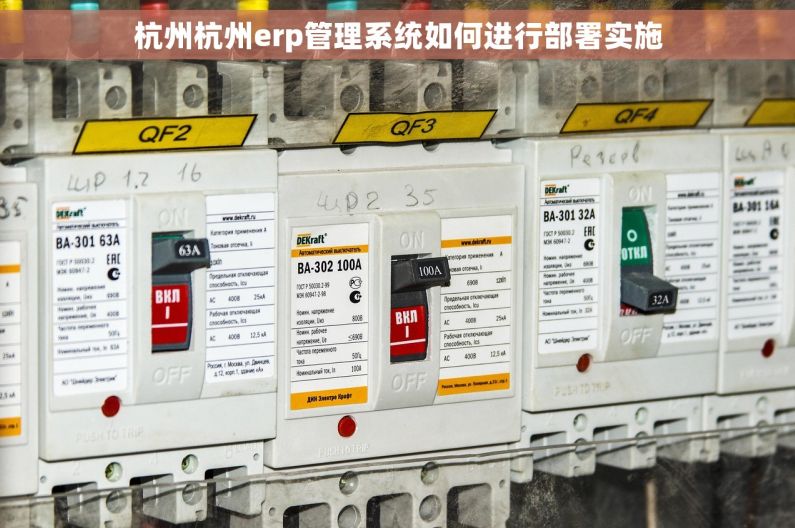 杭州杭州erp管理系统如何进行部署实施 杭州杭州erp管理系统如何进行部署实施