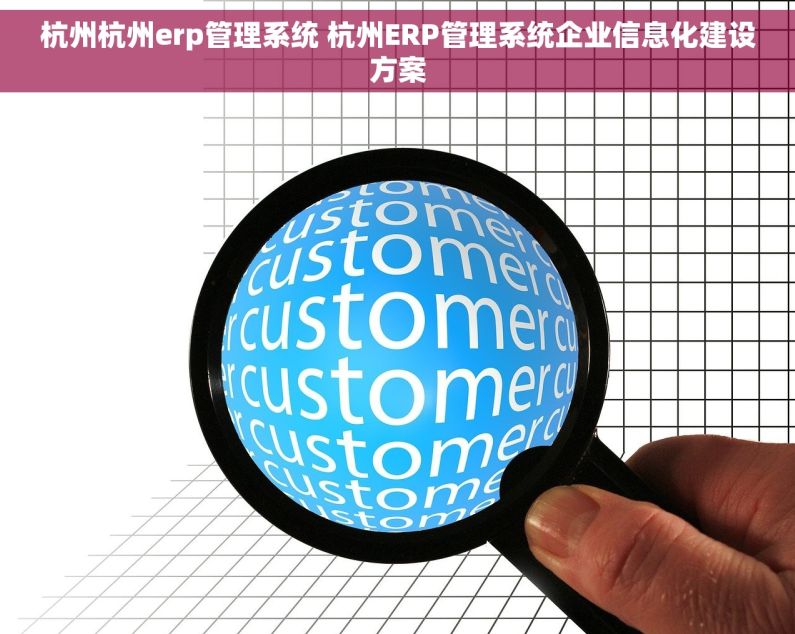 杭州杭州erp管理系统 杭州ERP管理系统企业信息化建设方案 杭州杭州erp管理系统 杭州ERP管理系统企业信息化建设方案