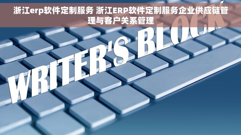浙江erp软件定制服务 浙江ERP软件定制服务企业供应链管理与客户关系管理