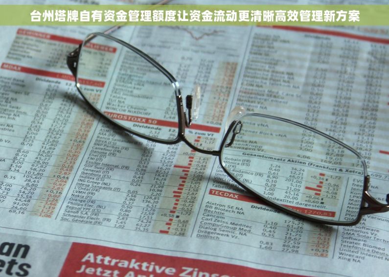台州塔牌自有资金管理额度让资金流动更清晰高效管理新方案 台州塔牌自有资金管理额度让资金流动更清晰高效管理新方案