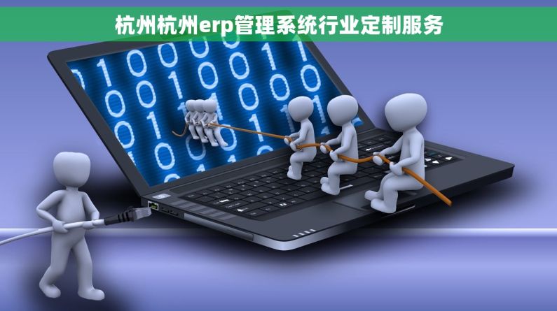杭州杭州erp管理系统行业定制服务 杭州杭州erp管理系统行业定制服务