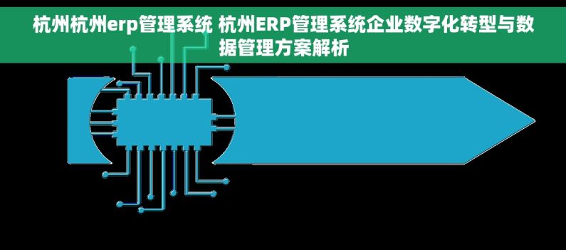 杭州杭州erp管理系统 杭州ERP管理系统企业数字化转型与数据管理方案解析 杭州杭州erp管理系统 杭州ERP管理系统企业数字化转型与数据管理方案解析