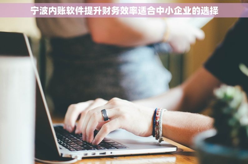 宁波内账软件提升财务效率适合中小企业的选择 宁波内账软件提升财务效率适合中小企业的选择