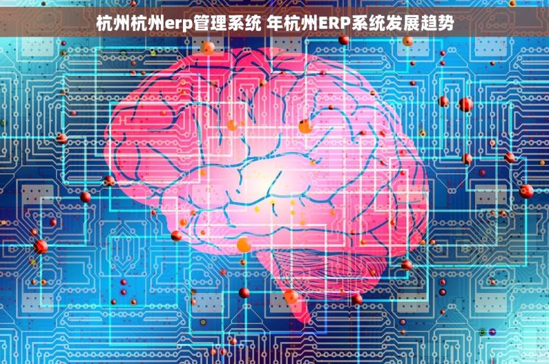 杭州杭州erp管理系统 年杭州ERP系统发展趋势 杭州杭州erp管理系统 年杭州ERP系统发展趋势
