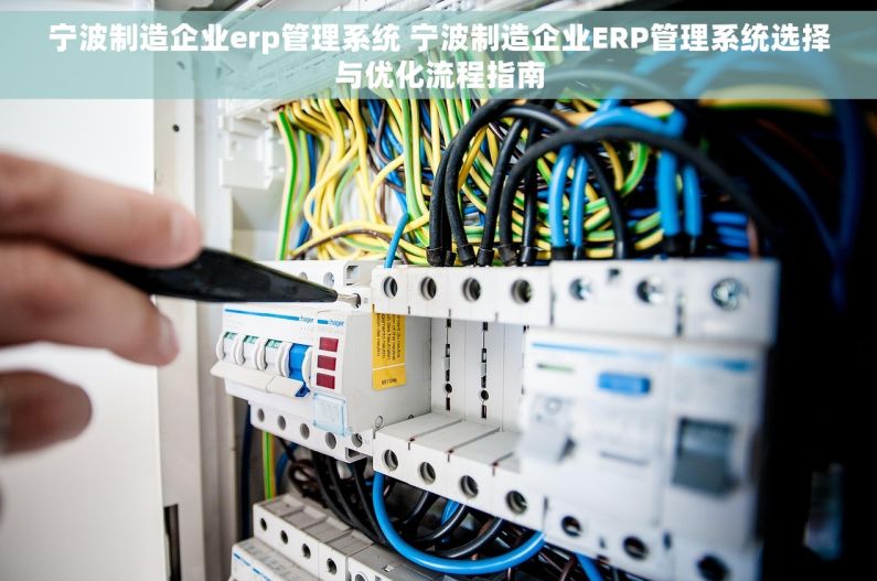 宁波制造企业erp管理系统 宁波制造企业ERP管理系统选择与优化流程指南 宁波制造企业erp管理系统 宁波制造企业ERP管理系统选择与优化流程指南