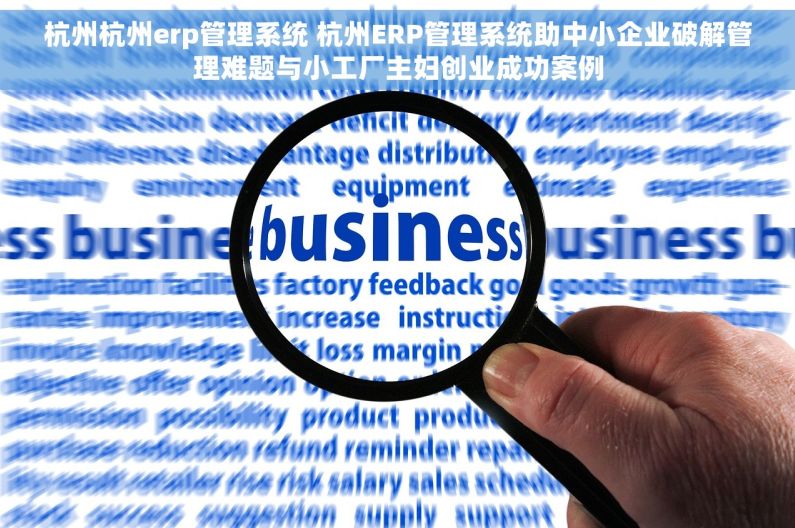 杭州杭州erp管理系统 杭州ERP管理系统助中小企业破解管理难题与小工厂主妇创业成功案例 杭州杭州erp管理系统 杭州ERP管理系统助中小企业破解管理难题与小工厂主妇创业成功案例