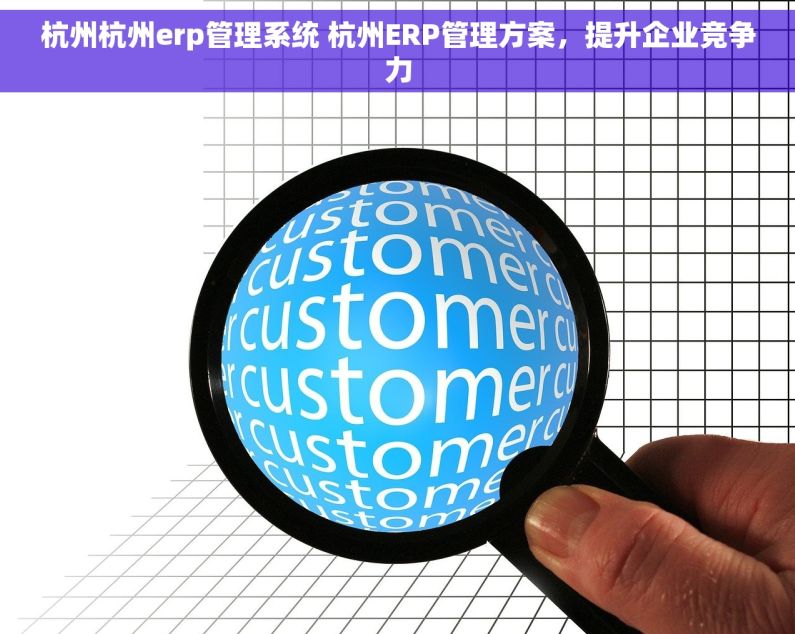 杭州杭州erp管理系统 杭州ERP管理方案,提升企业竞争力 杭州杭州erp管理系统 杭州ERP管理方案,提升企业竞争力