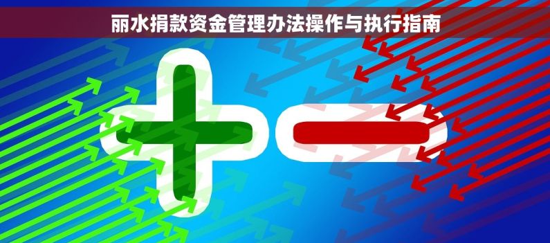 丽水捐款资金管理办法操作与执行指南 丽水捐款资金管理办法操作与执行指南