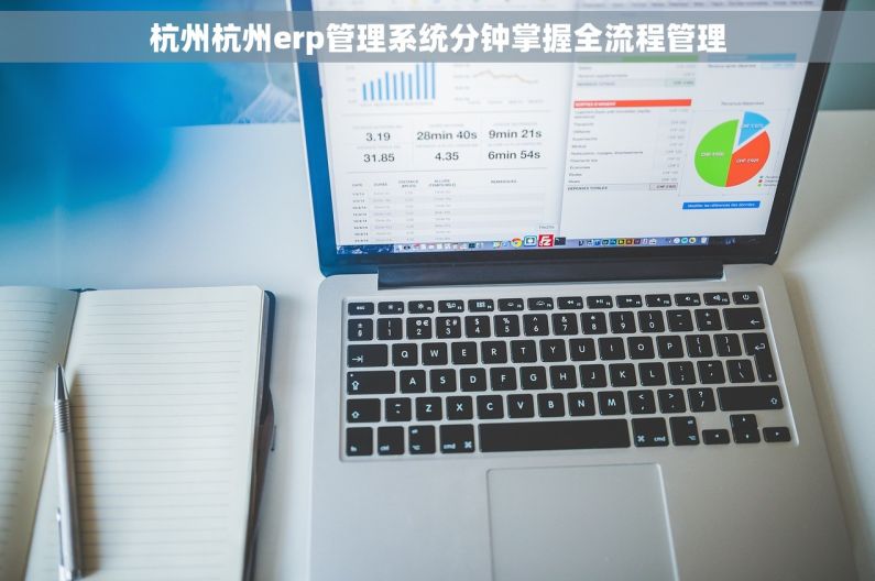 杭州杭州erp管理系统分钟掌握全流程管理 杭州杭州erp管理系统分钟掌握全流程管理