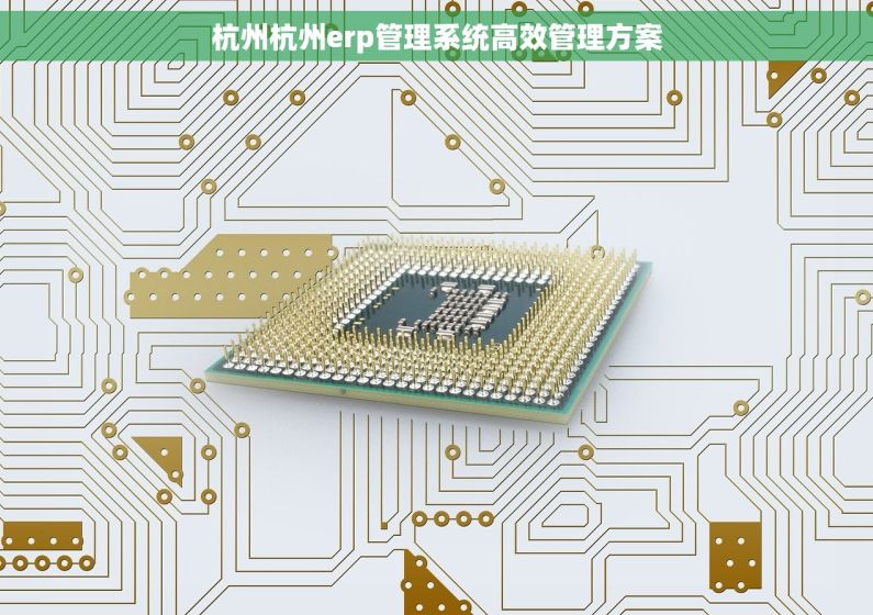 杭州杭州erp管理系统高效管理方案 杭州杭州erp管理系统高效管理方案
