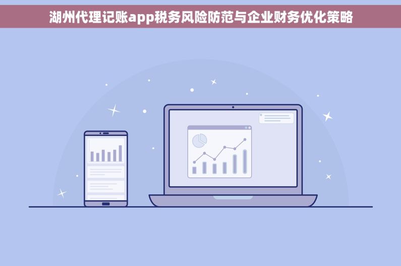湖州代理记账app税务风险防范与企业财务优化策略