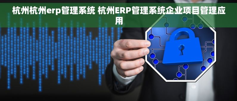 杭州杭州erp管理系统 杭州ERP管理系统企业项目管理应用