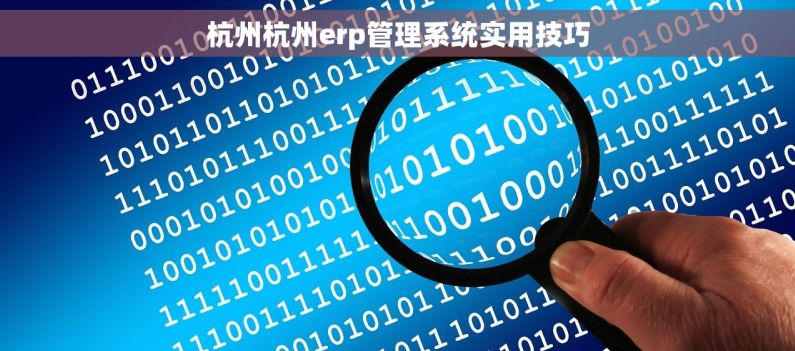杭州杭州erp管理系统实用技巧 杭州杭州erp管理系统实用技巧