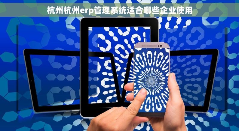杭州杭州erp管理系统适合哪些企业使用 杭州杭州erp管理系统适合哪些企业使用