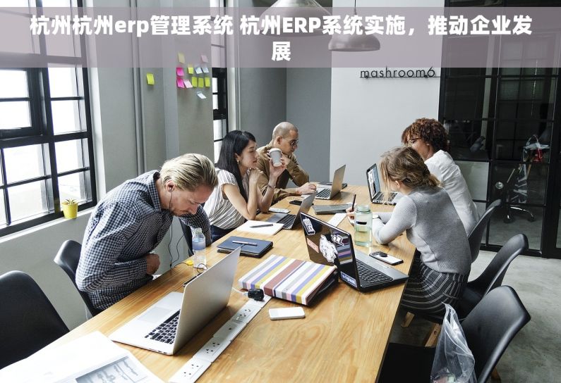 杭州杭州erp管理系统 杭州ERP系统实施,推动企业发展 杭州杭州erp管理系统 杭州ERP系统实施,推动企业发展
