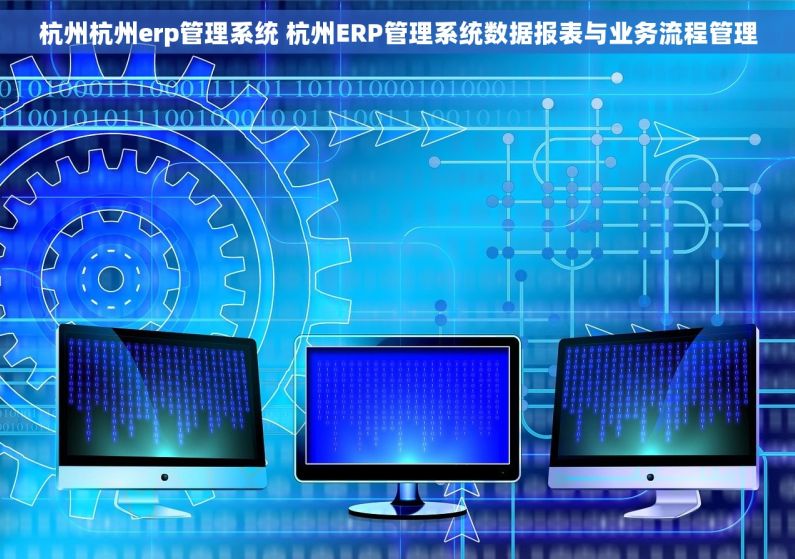 杭州杭州erp管理系统 杭州ERP管理系统数据报表与业务流程管理 杭州杭州erp管理系统 杭州ERP管理系统数据报表与业务流程管理