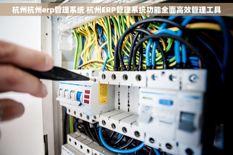 杭州杭州erp管理系统 杭州ERP管理系统功能全面高效管理工具 杭州杭州erp管理系统 杭州ERP管理系统功能全面高效管理工具