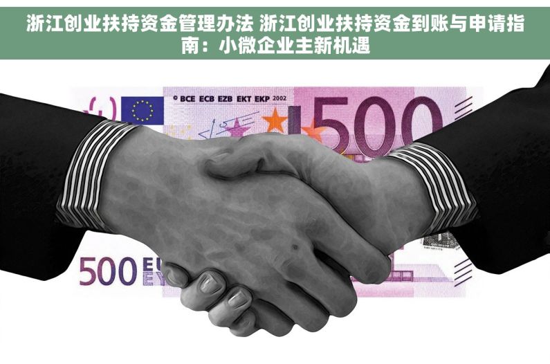 浙江创业扶持资金管理办法 浙江创业扶持资金到账与申请指南:小微企业主新机遇 浙江创业扶持资金管理办法 浙江创业扶持资金到账与申请指南:小微企业主新机遇